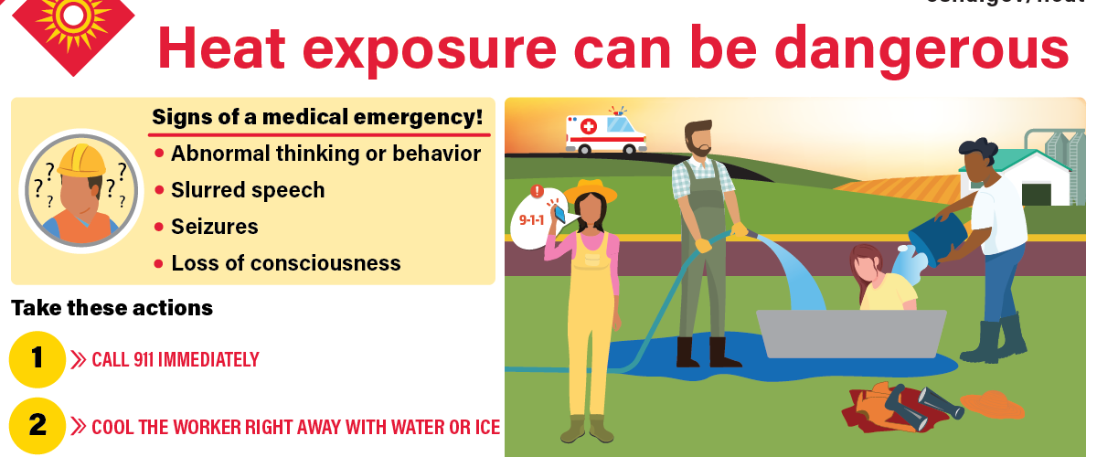 Stay Safe This Summer » I.C.W.U.C.